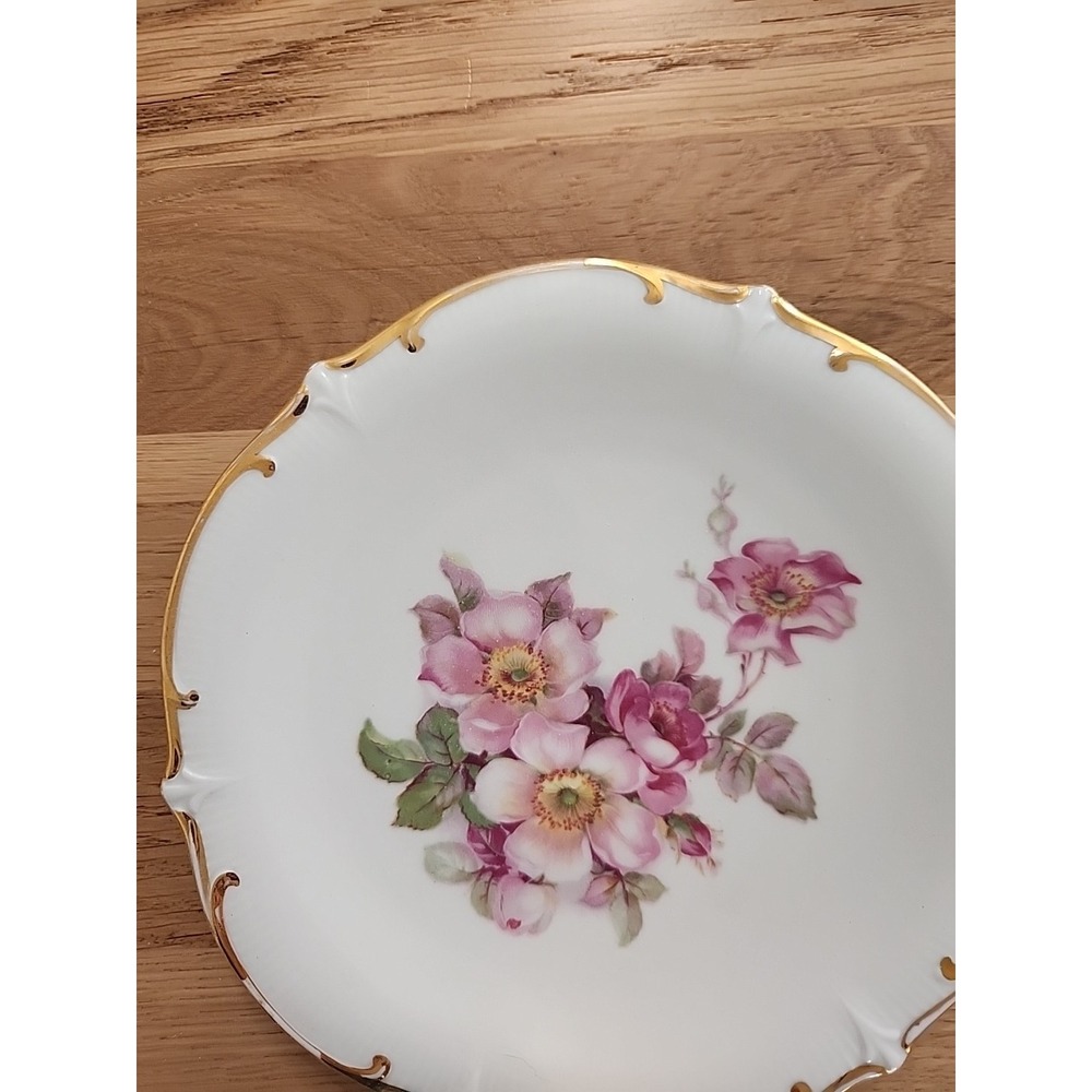 Vtg Schumann Arzberg Bavaria Germany "Wild Rose" Salad Dessert Side Plate 7.25" - Picture 6 of 9